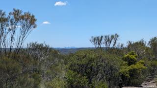 Royal National Park