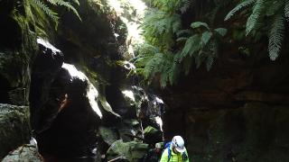 Bowens Ck South Branch Canyon (aka Gobsmacker)