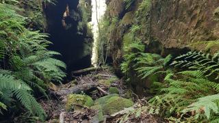 Waterfall of Moss 4 February 2024