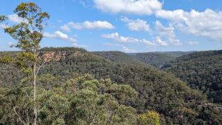 Martin's Lookout